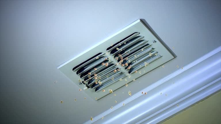 Best Ductwork Cleaning Services  in Santa Barbara, CA